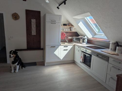 virtuve, Ferienwohnung Rheinwald in Hartheim am Rhein