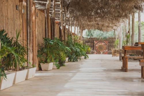 花園, Selina Desert Garden Ramon in 米提茲普拉蒙