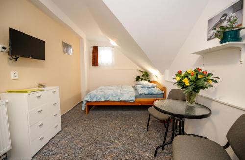 Penzion U Sykoru in Domanin