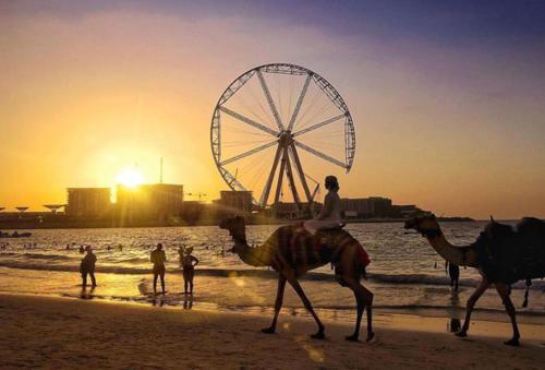 Dubai Marina stay, Dubái (foto 5)