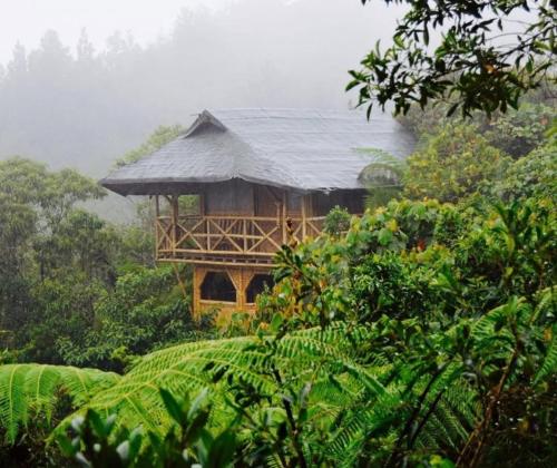 A Guatapé Del Bosque
