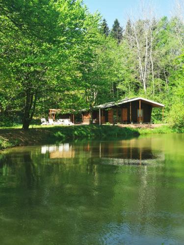 Chalet - gîte avec étang gîte à louer Ménil-sur-Belvitte