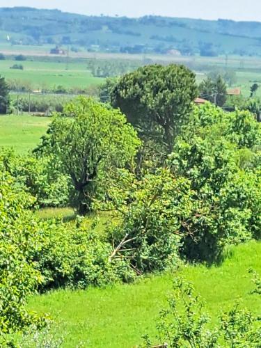 Casa Gli Ulivi in Montepulciano