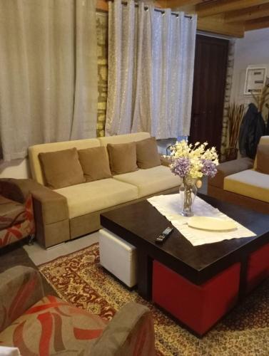 Αρχωντικα στην Τρiχονιδα in 阿格里尼昂