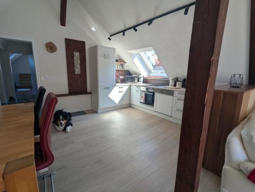 virtuve, Ferienwohnung Rheinwald in Hartheim am Rhein