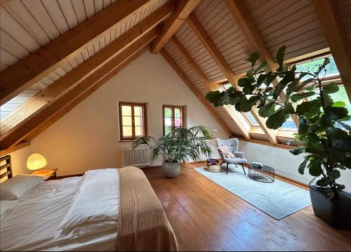 Winzerhaus am Elbhang, Drážďany (fotografie 5)