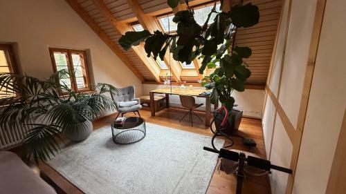 Winzerhaus am Elbhang, Drážďany (fotografie 8)