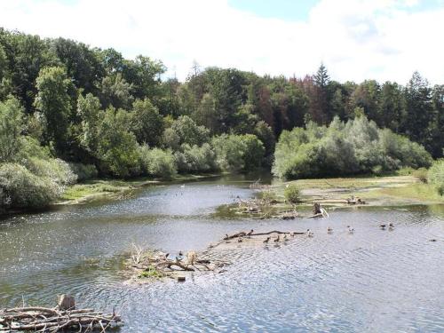 Ferienwohnung Am Fischteich - image 12