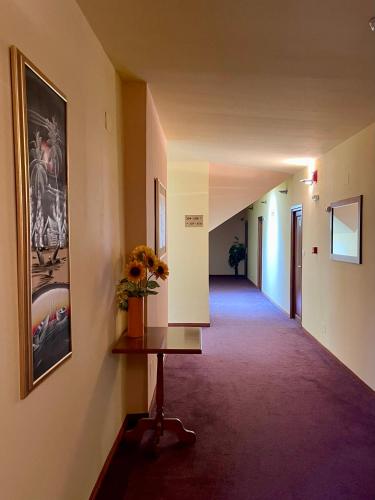Hotel Lucy Star - image 7