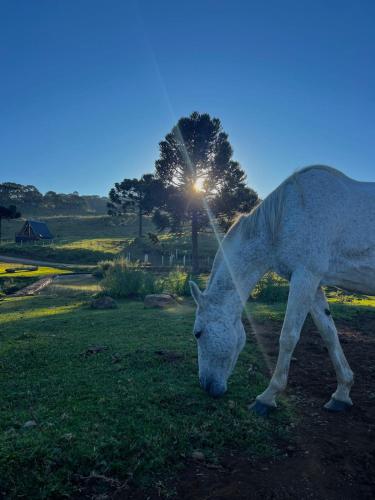 Casa de Campo Fazenda Invernada Grande in 邦雅爾丁達塞拉