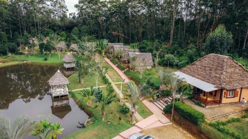 Amoron'ny Ala in Andasibe