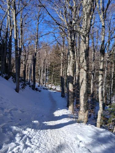 Навколишнє середовище, Il Nido nel Bosco in Абетоне