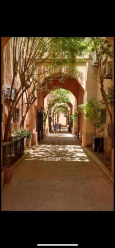 Riad abdel 3