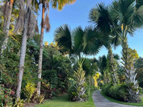 Kert, Luxurious rainforest lodge in FNQ in Bramston Part