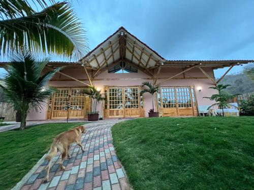 Sirena's Beach & Surf Club in Boca de Briceno