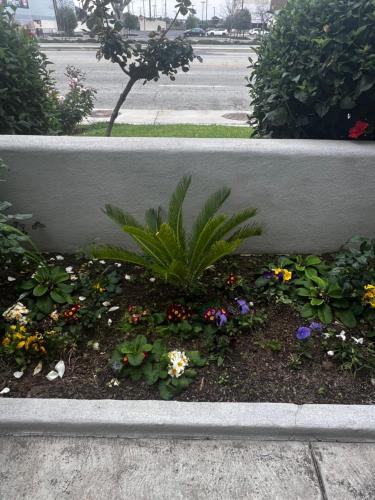 El Segundo Inn in Hawthorne, USA