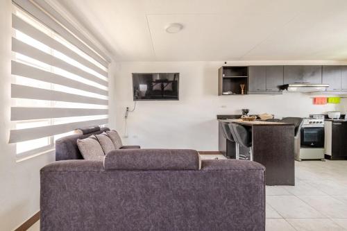 Taz's house
