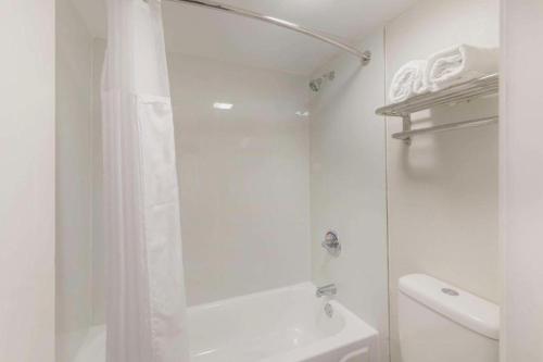 Super 8 by Wyndham Memphis/Dwtn/Graceland Area - image 7