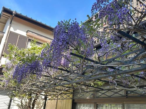 Chiba Homestay by Lek บ้านพักใกล้นาริตะโตเกียว