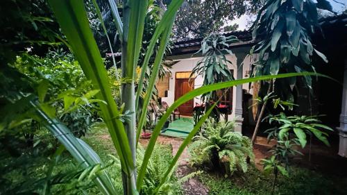 Sigiriya Sachin Lodge - image 5