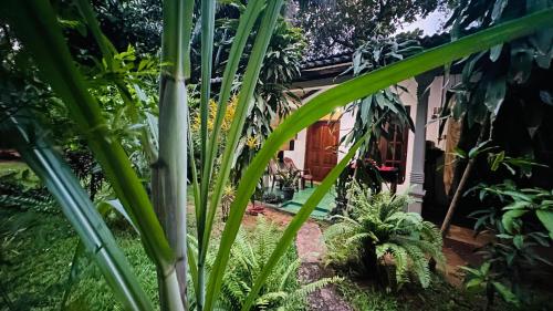 Sigiriya Sachin Lodge - image 2