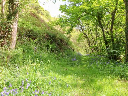 Glyn Yr Efail - image 13
