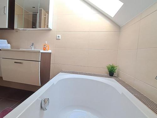 浴室, Ferienwohnung am Donauradweg in 巴特阿巴赫