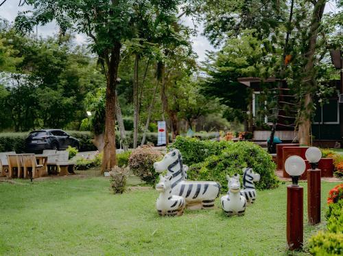 Rockwood house Resort and Thai massage - 주변 환경