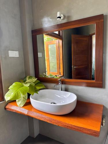 One-Bedroom House image 10
