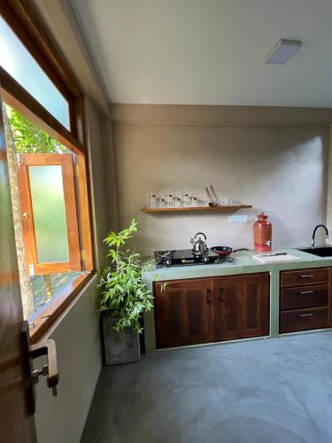 One-Bedroom House image 1