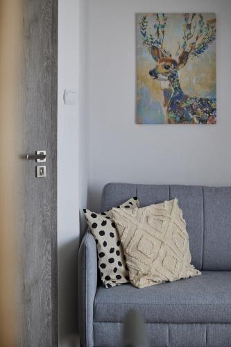 Studio - Split Level