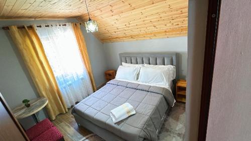 Bujtina Kometa in Velipoje