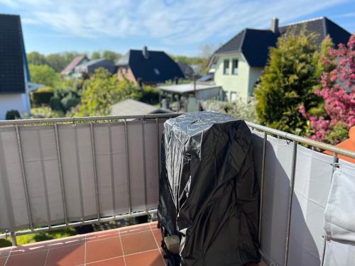 Kranichblick in Zingst