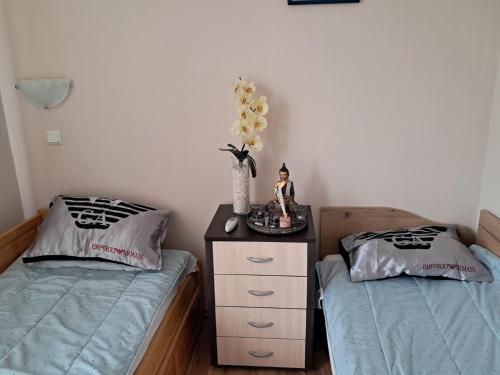 Apartament in Aheloy, Acheloj (fotografie 10)