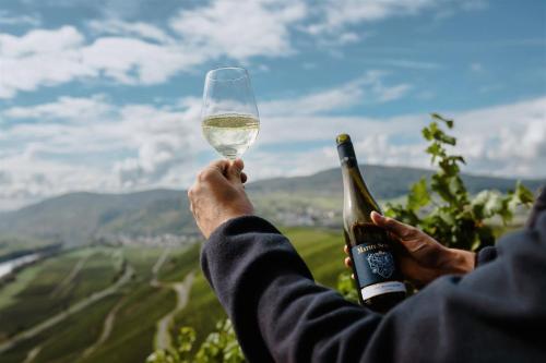Aktivitātes, Weingut Mathy-Schanz in Osann-Monzel