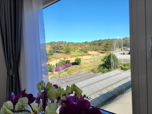 Colmar Dalat Hotel & Apartment 