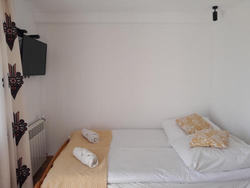 Apartamenty w Pieninach - studio 2 osobowe