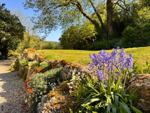 Cotswolds AoNB Cottage- Modern Renovation- Sleeps8, Bath (fotografie 6)