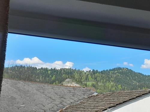 Apartament w Pieninach