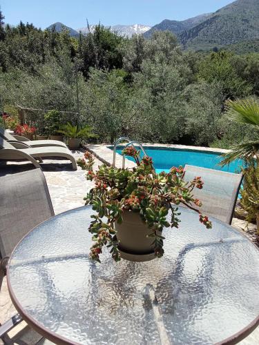 Facilities, "Villa Kastania" Melidoni, Chania, Crete in Keramies