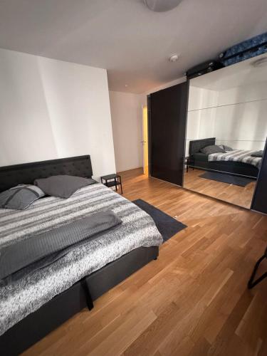 Apartment in the heart of Dresden, Drážďany (fotografie 3)