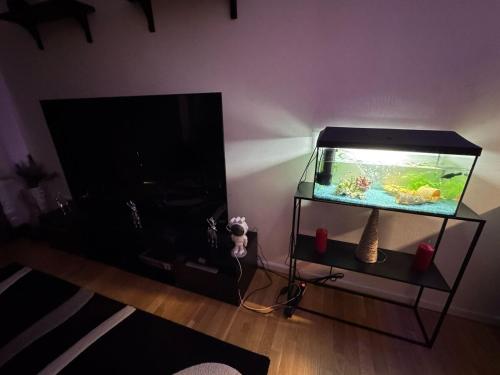 Apartment in the heart of Dresden, Drážďany (fotografie 9)