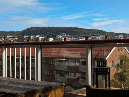 Spacious and cozy studio apartment with balcony in Sagene