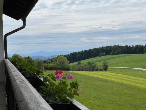 Kilátás, Pension Jodlbauer in Schollnach