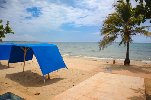 Magico Apartamento Frente al Mar 2 Habitaciones B11B in 科温纳斯