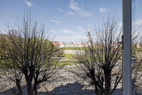 City Center Loft3 Apartment, Tallinn (photo 8)