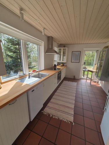 A hidden gem in the woods in Tim