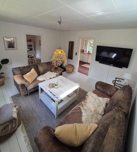 A hidden gem in the woods in Tim