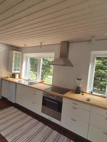 A hidden gem in the woods in Tim