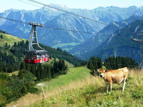 Alpenflair Ferienwohnungen Whg 201 "Doris"